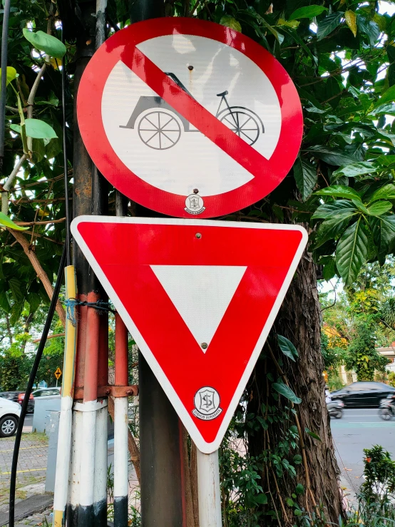 street signs and a bicycle sign hanging on a tree