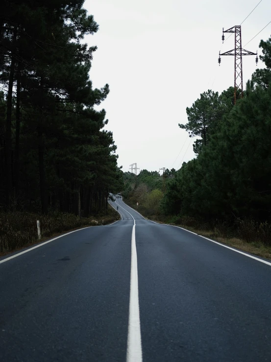 a road lined with trees in the middle of it