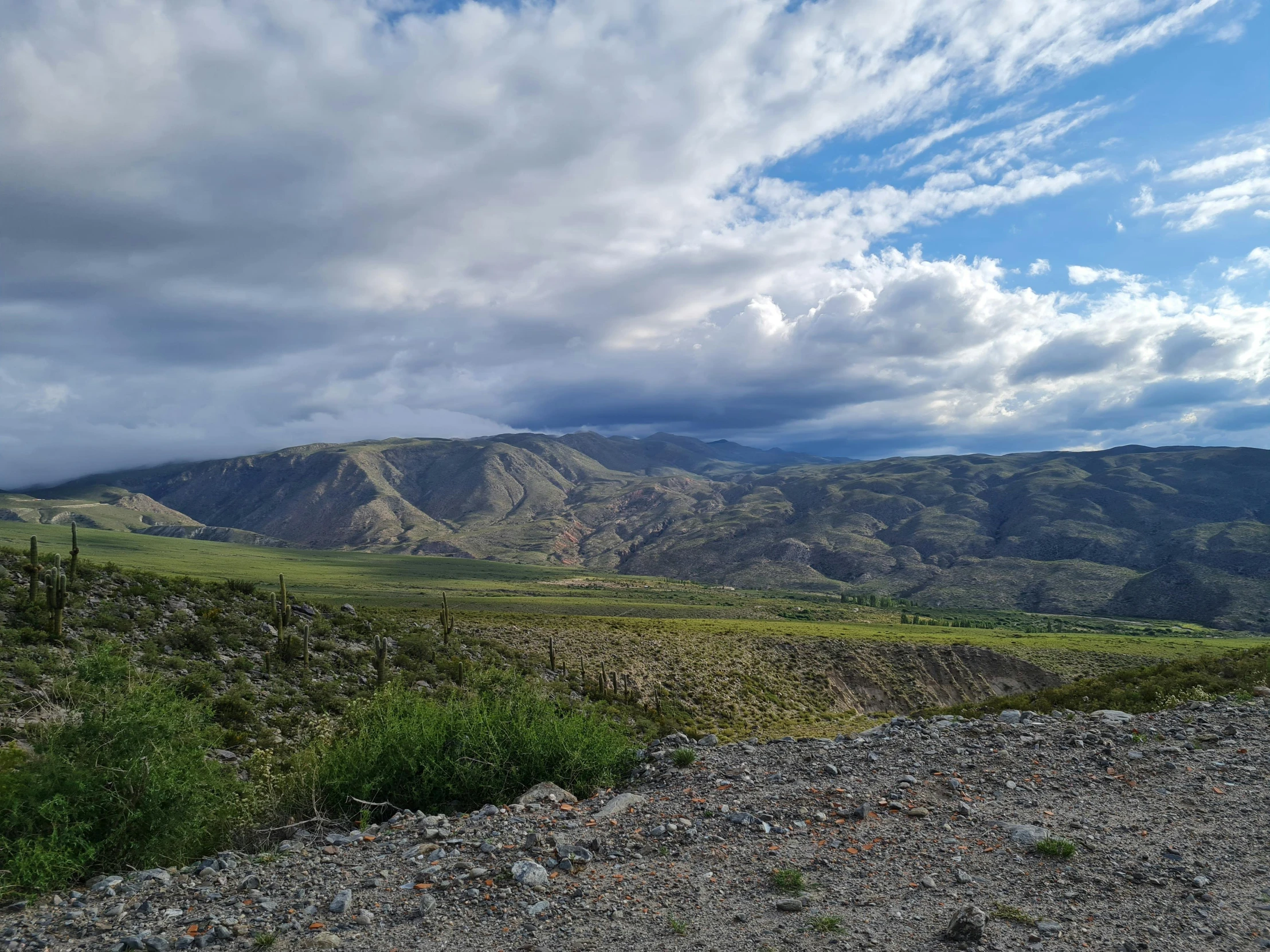 a mountain covered in green and brown grass