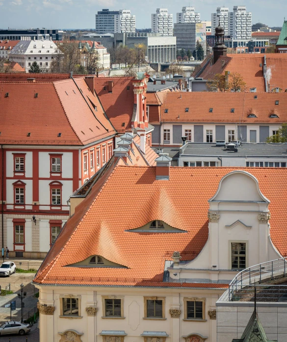 a city filled with red roofed buildings with high rise buildings