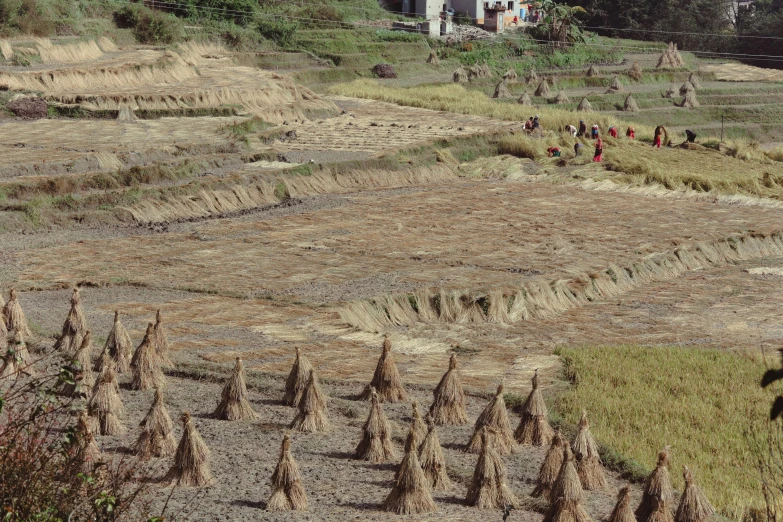 some people standing on a large field with a house in the distance