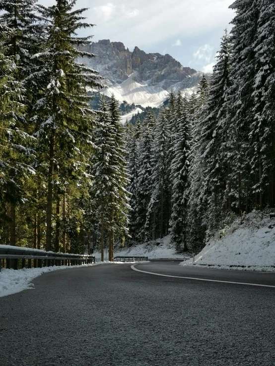 a road is shown with snow covered trees