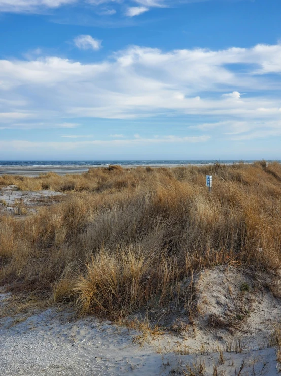 a sign is placed in the tall brown grass near the ocean