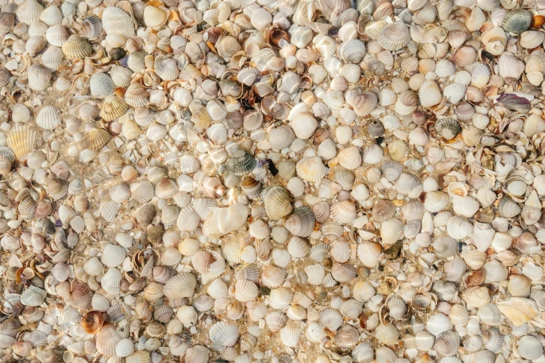 a picture of a surface made up of different types of rocks and pebbles