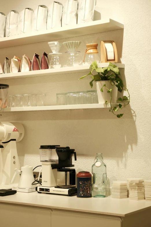 a shelf filled with cups, coffee maker and a plant