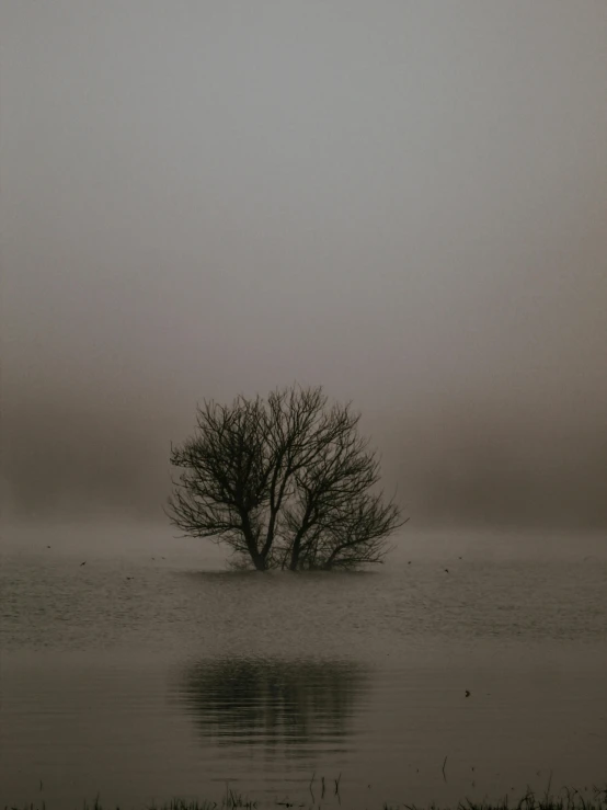 an empty lake in the middle of a foggy day