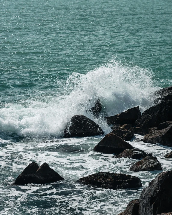 a bird flying over rocks on the shore