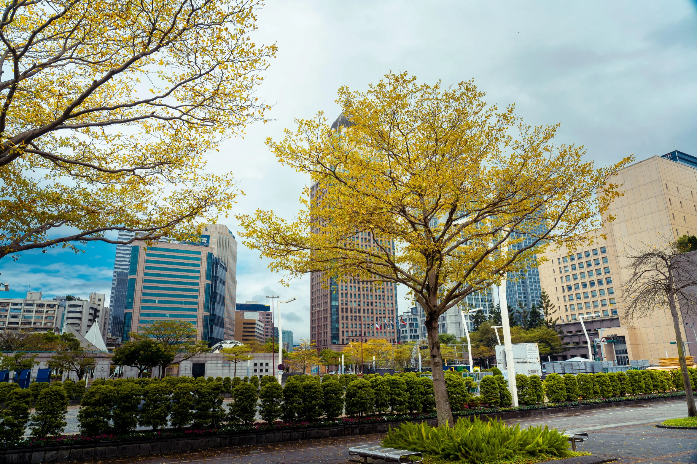 a park with trees, bushes, and benches and benches on the ground