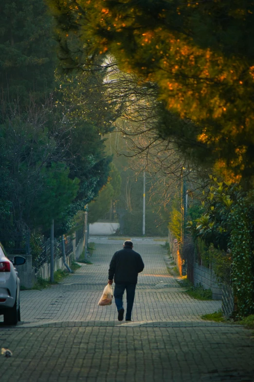 a person with two bags walks down a driveway lined with trees