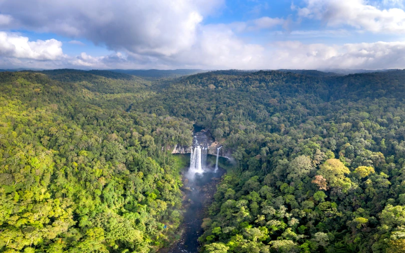 waterfall surrounded by trees in tropical climate area