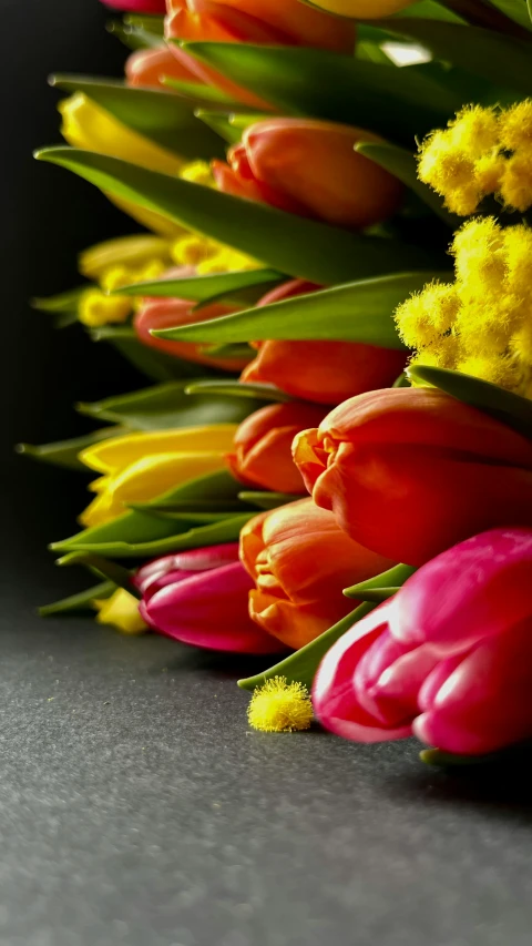 colorful tulips and hyacinhes on a black surface