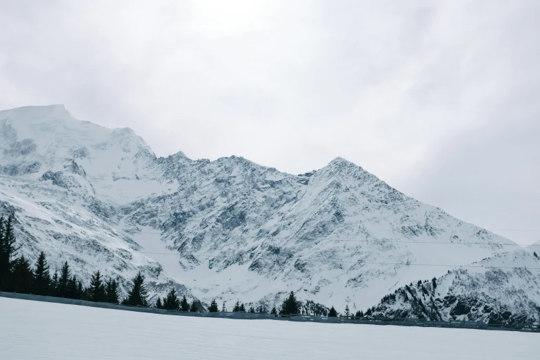 a snowy mountain scene, with pine trees on the foreground and overcast skies