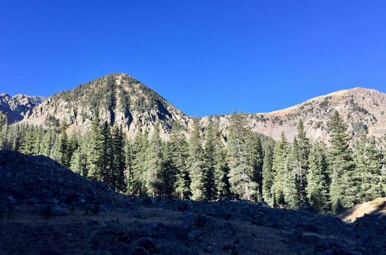 mountains covered with pine forest and some rocks