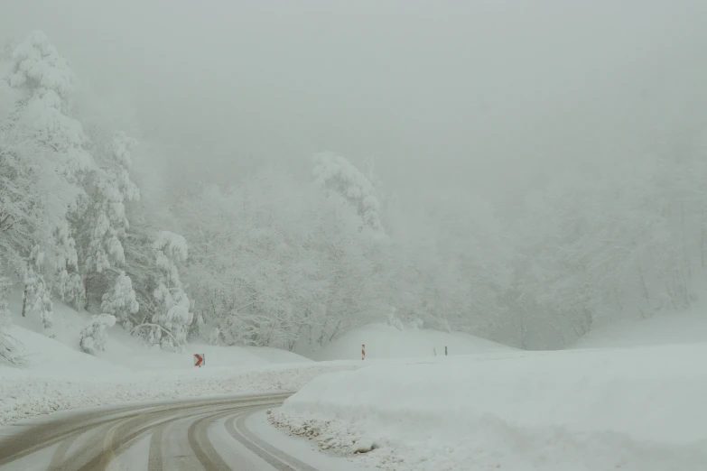 the road is very cold and snowy and has trees on both sides