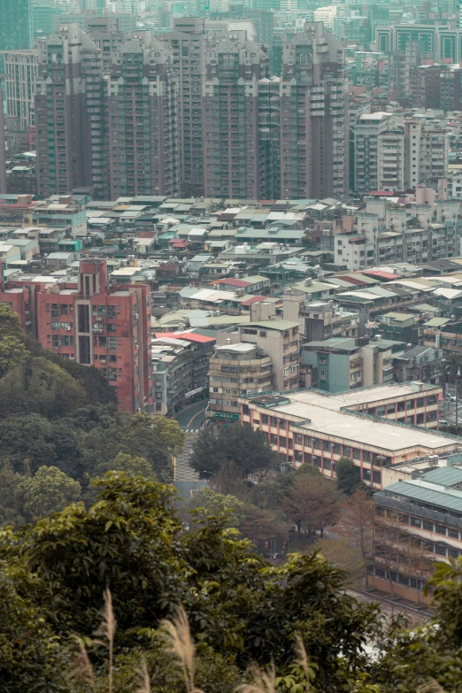 buildings, trees and bushes surrounding city view