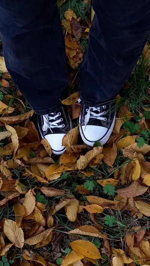 a persons feet and shoes, standing on the leaves of the ground