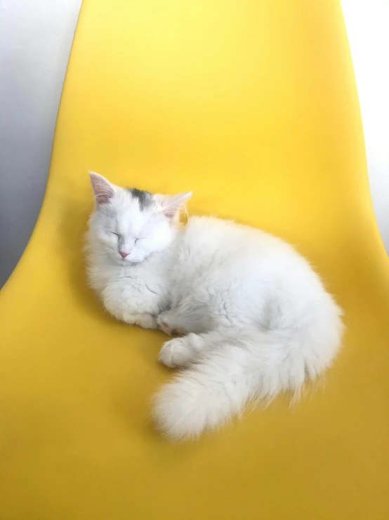 a cat is laying on a yellow chair