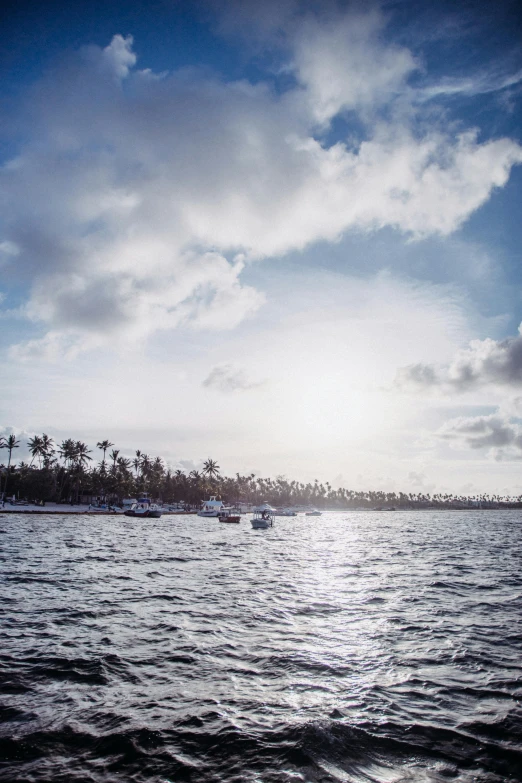 some boats on the water with trees in the distance