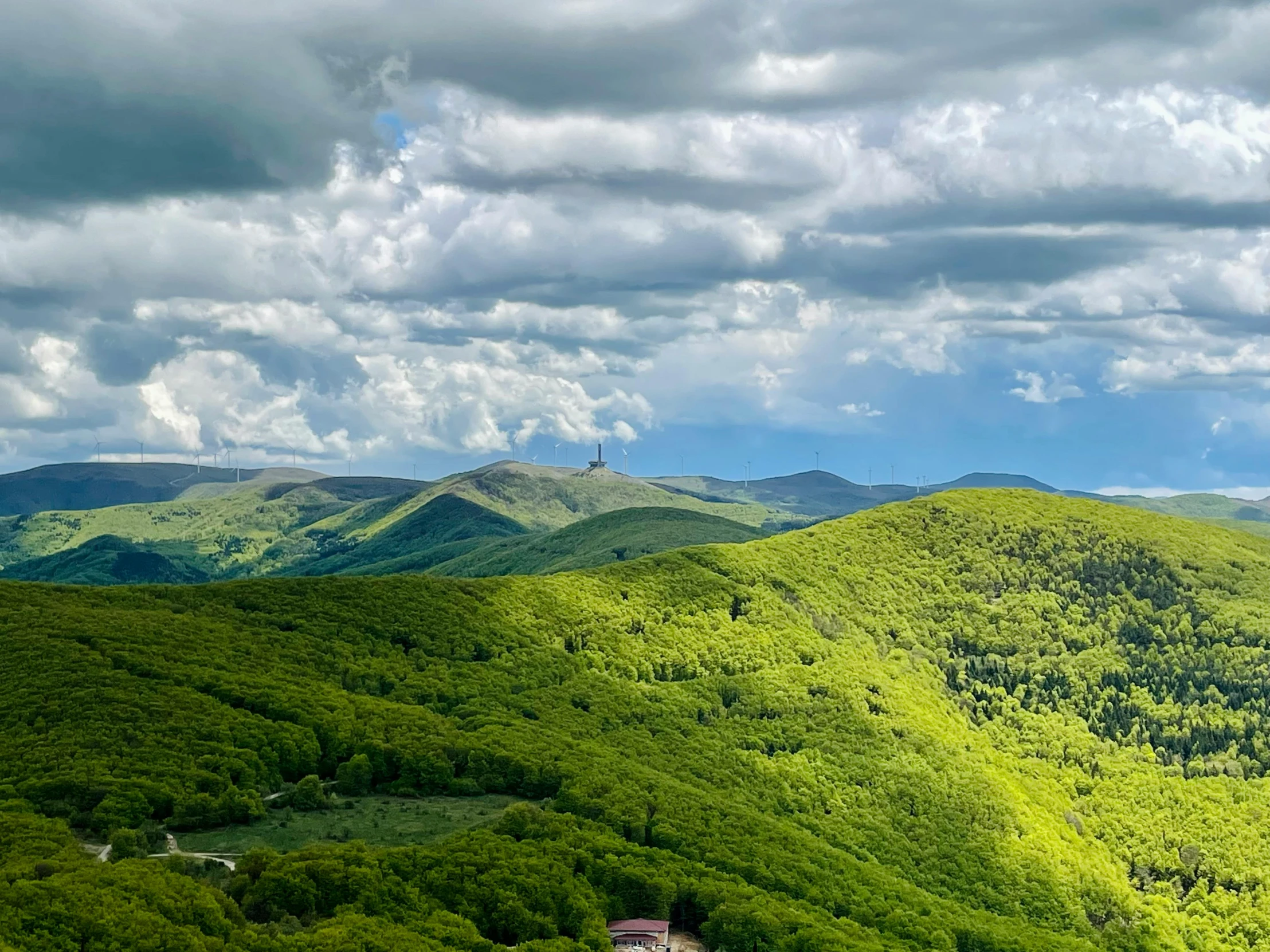 many mountains that have some trees and some bushes on them