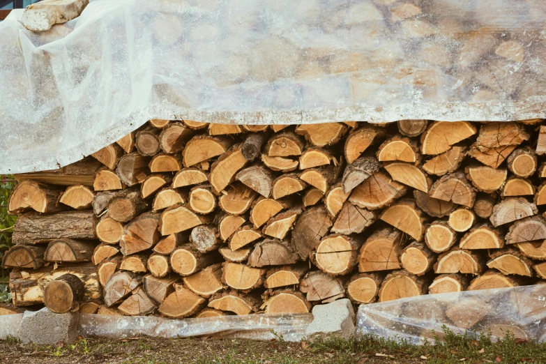 logs stacked on each other under a tarp covered structure