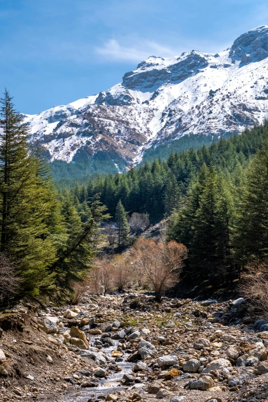 snow covered mountain tops rise above a stream