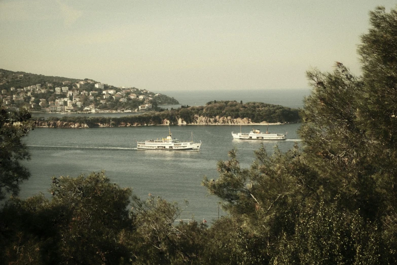 three ferry boats in the water next to trees and hills