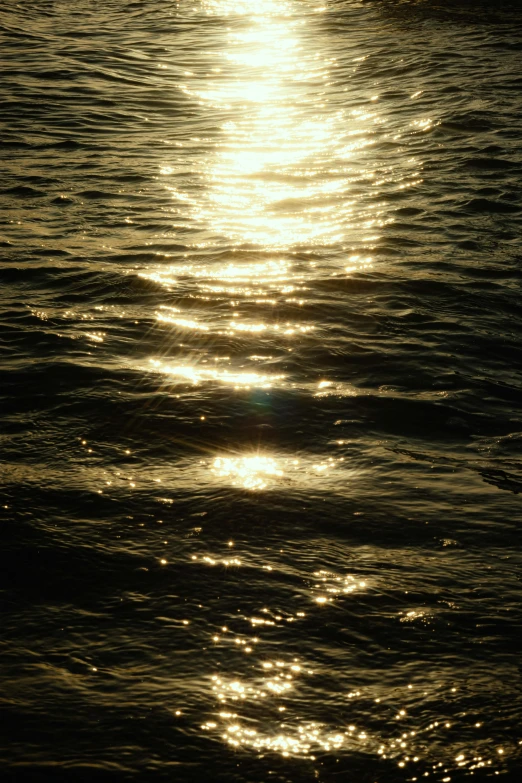 a sunset reflects off the water and the sailboat is sailing in