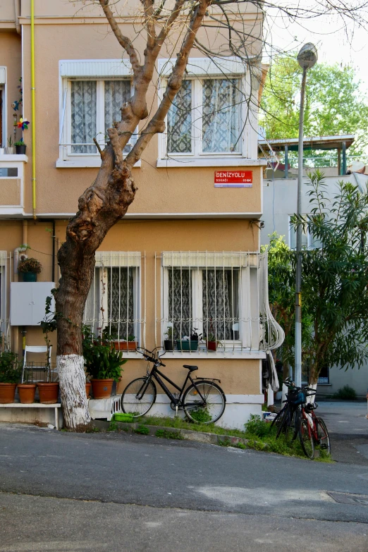 a house with a bicycle in front and flowers around