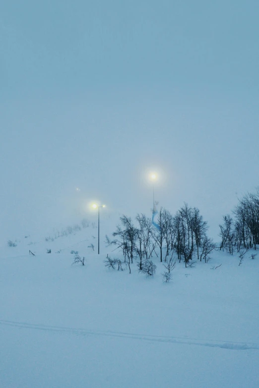 the scene of the snow covered landscape shows two traffic lights on each pole