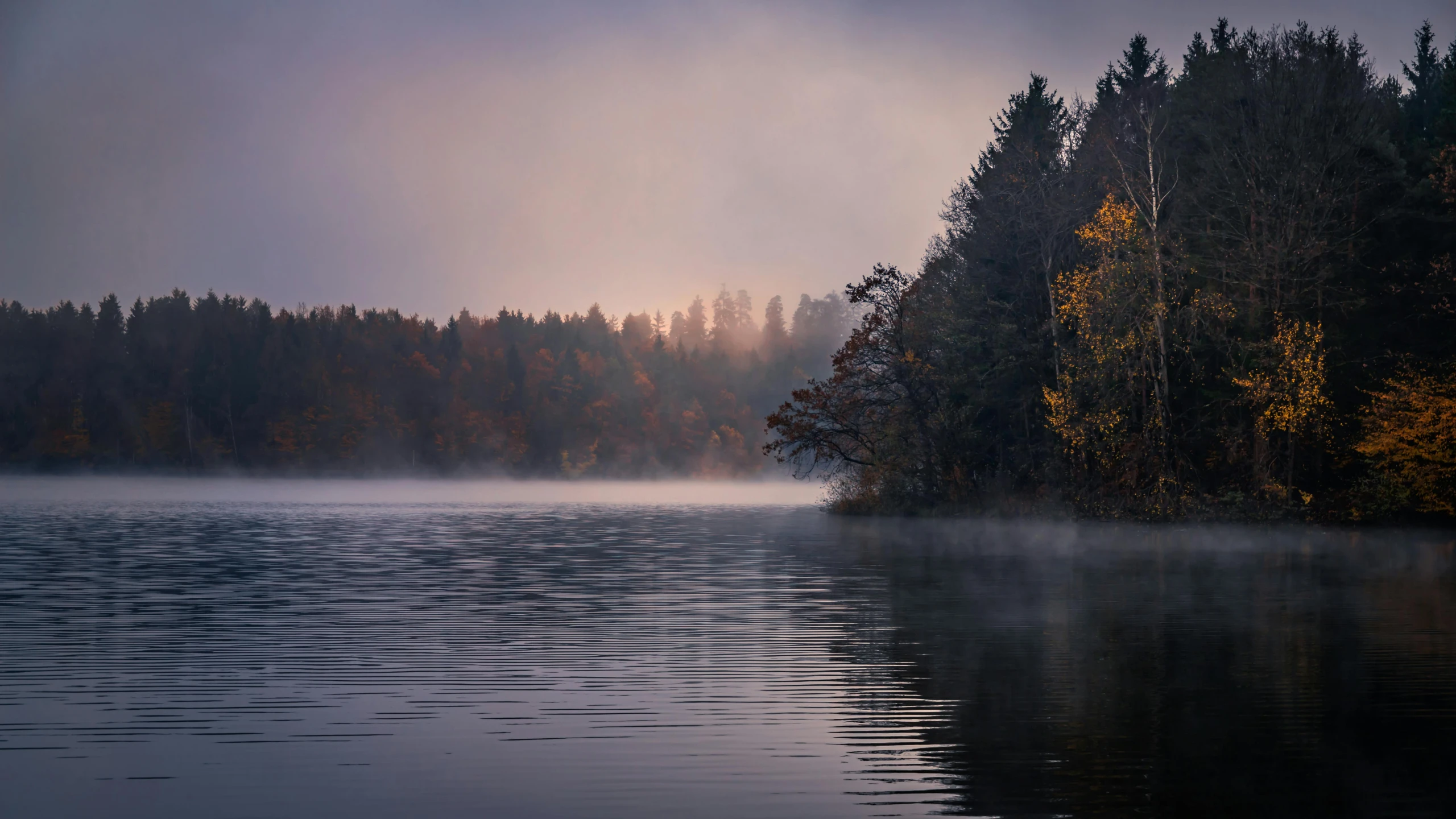 a beautiful lake surrounded by fog and trees