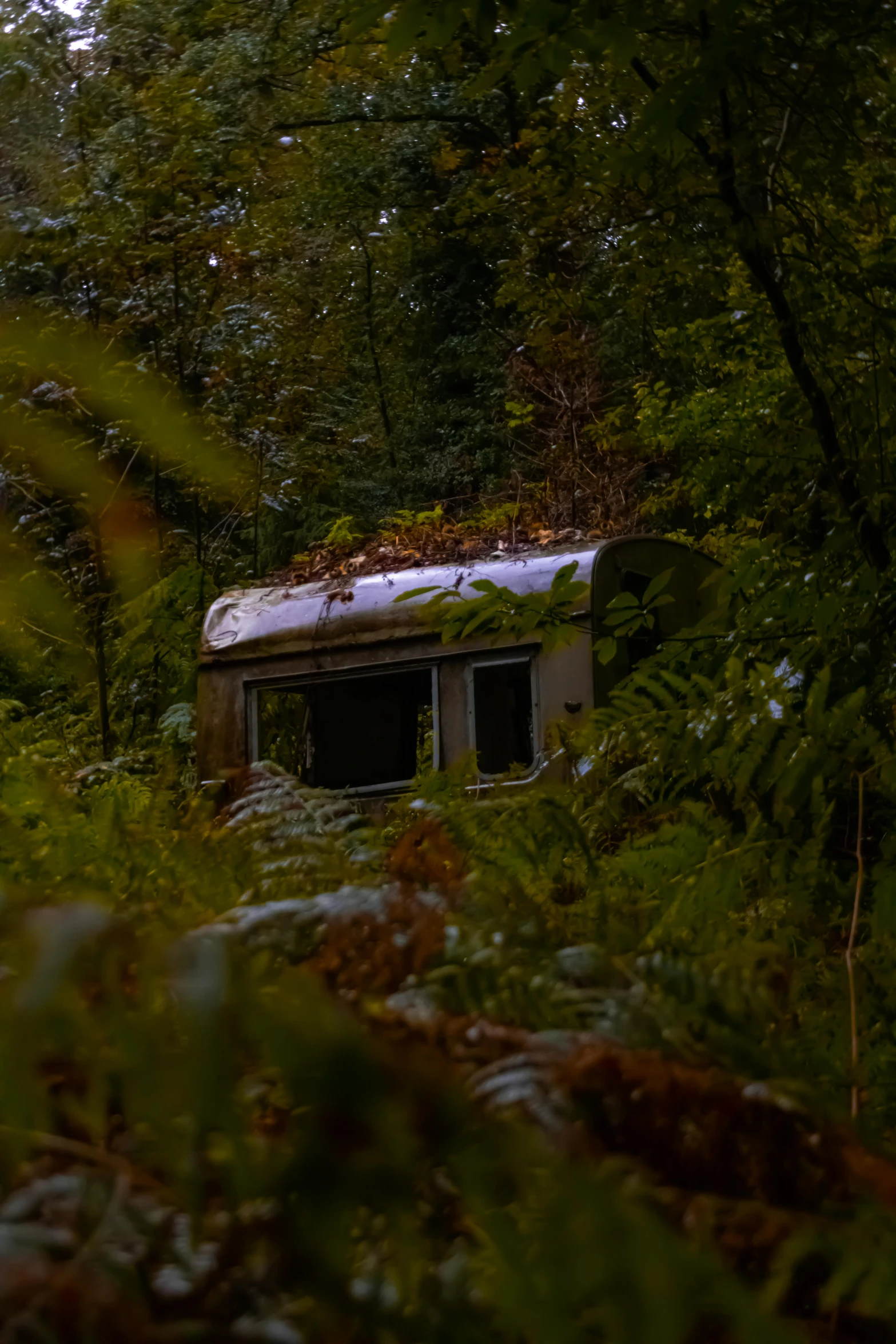 a out house is covered by lots of foliage