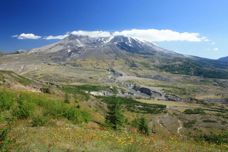 a man stands on the side of a hill with an island behind him