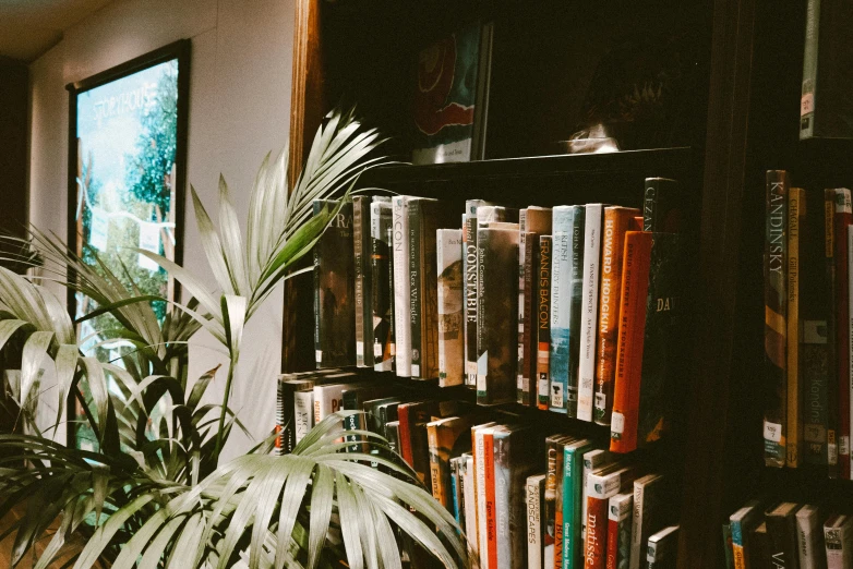 a book shelf filled with books and plants