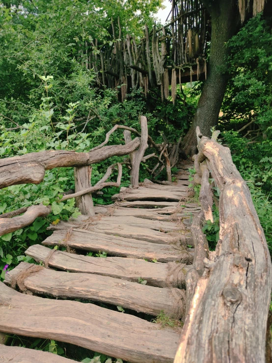 a wooden bridge crosses a small stream in a forest