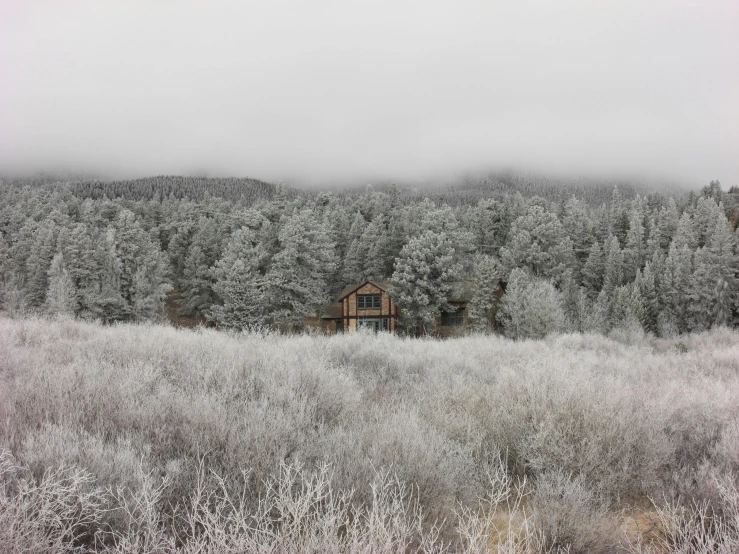 a foggy mountain with a small cabin and trees