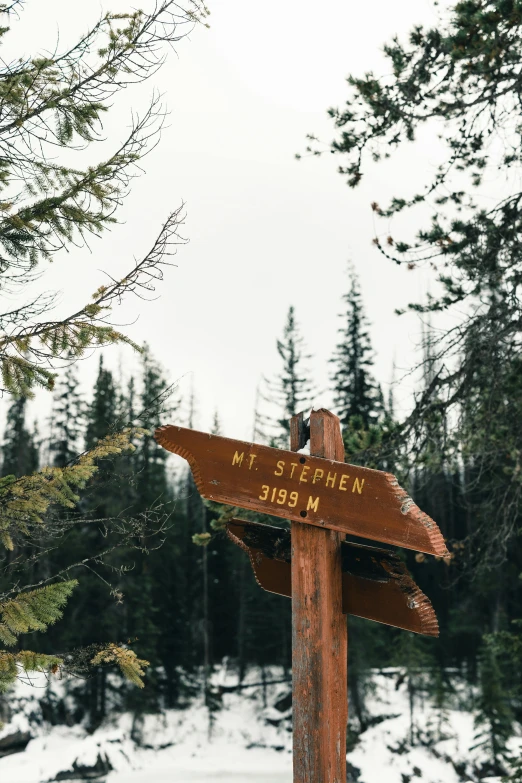 a wooden sign pointing into the distance on top of snow covered ground