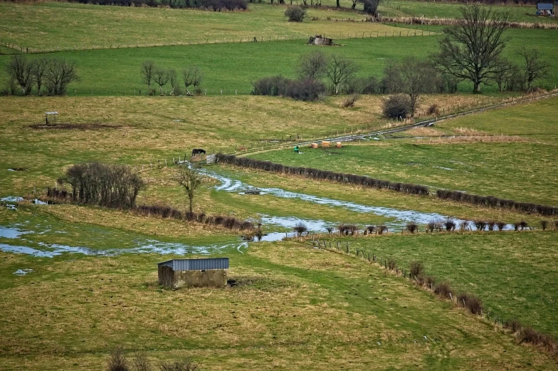 a grassy area that is covered in small water