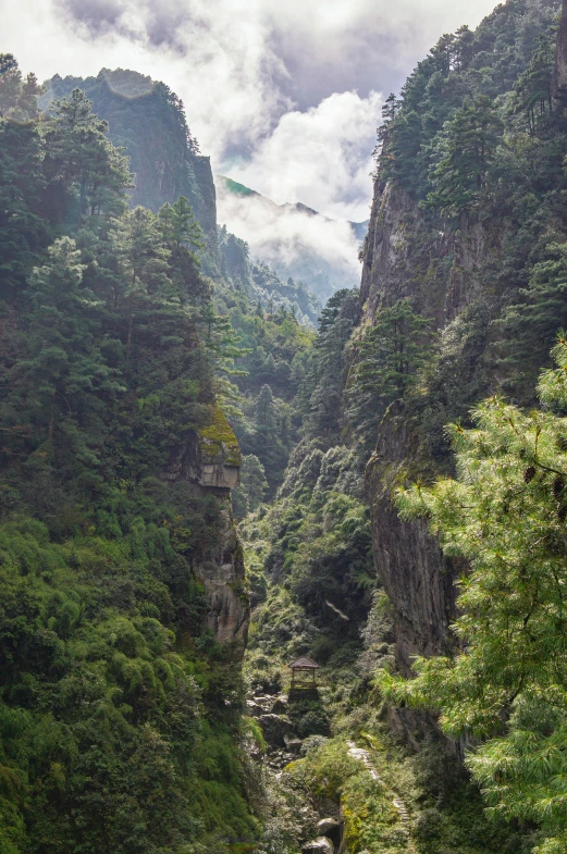 a long narrow river flowing between two mountains