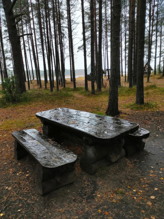 a picnic table in the middle of a forest
