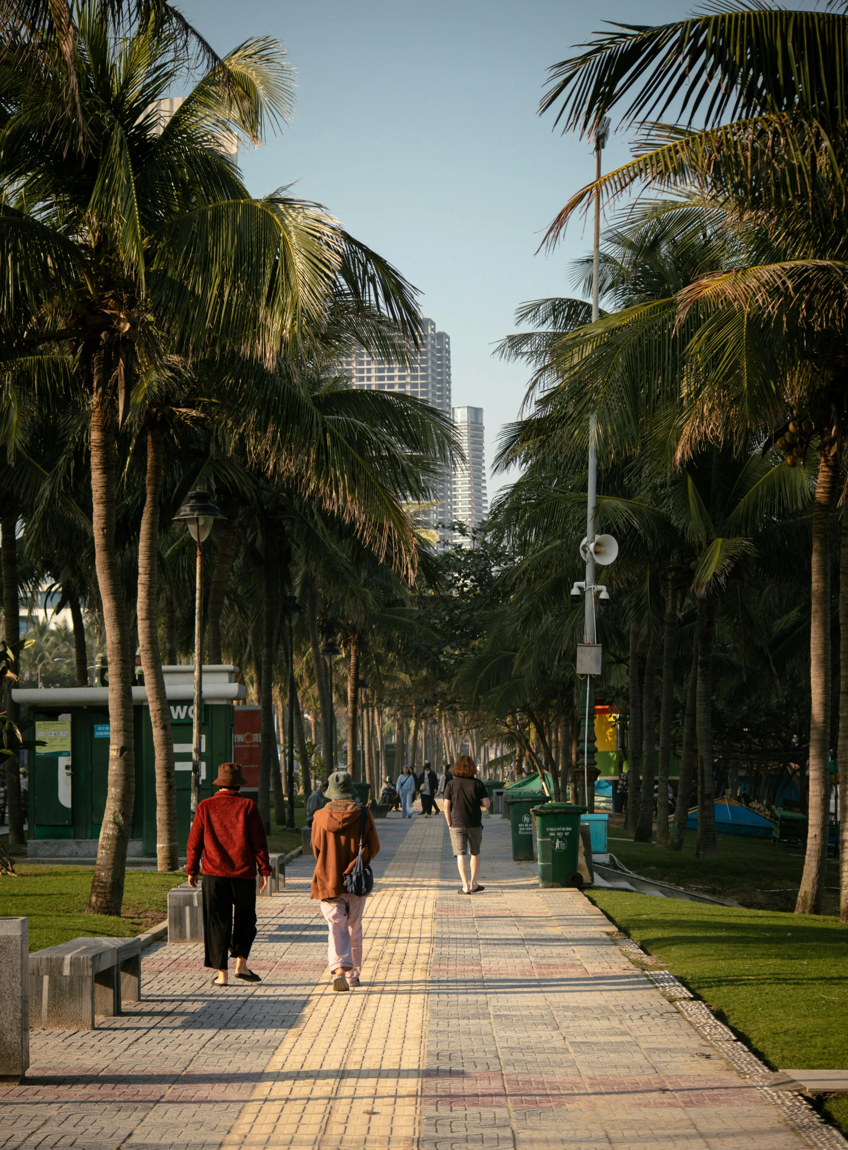 two men walking down a sidewalk with lots of palm trees in the background