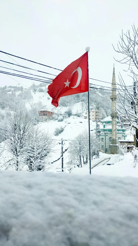 a flag that is on top of snow