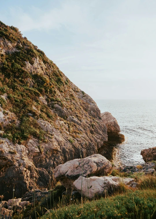 an animal sitting on top of a large rock next to a body of water