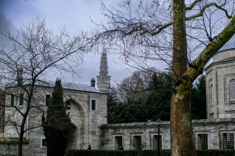 two trees and a building on a cloudy day