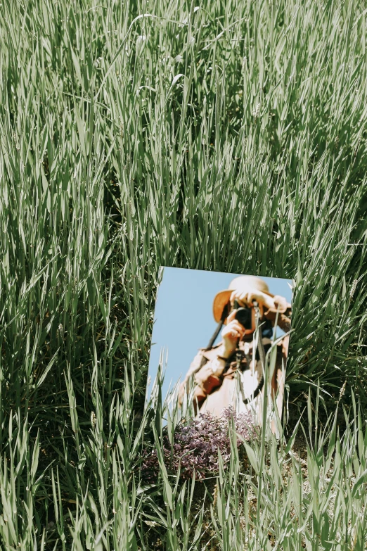 a picture of a giraffe in some tall grass