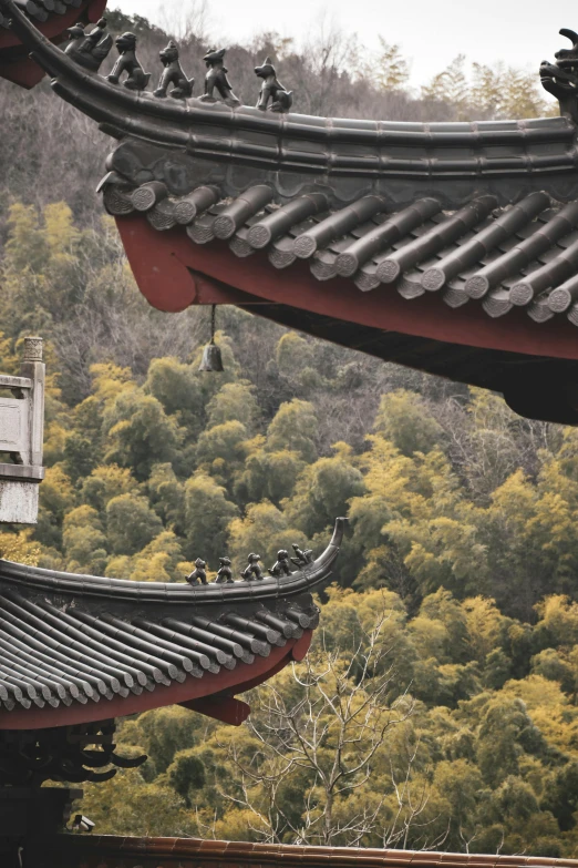 many birds are perched on the roof of a building