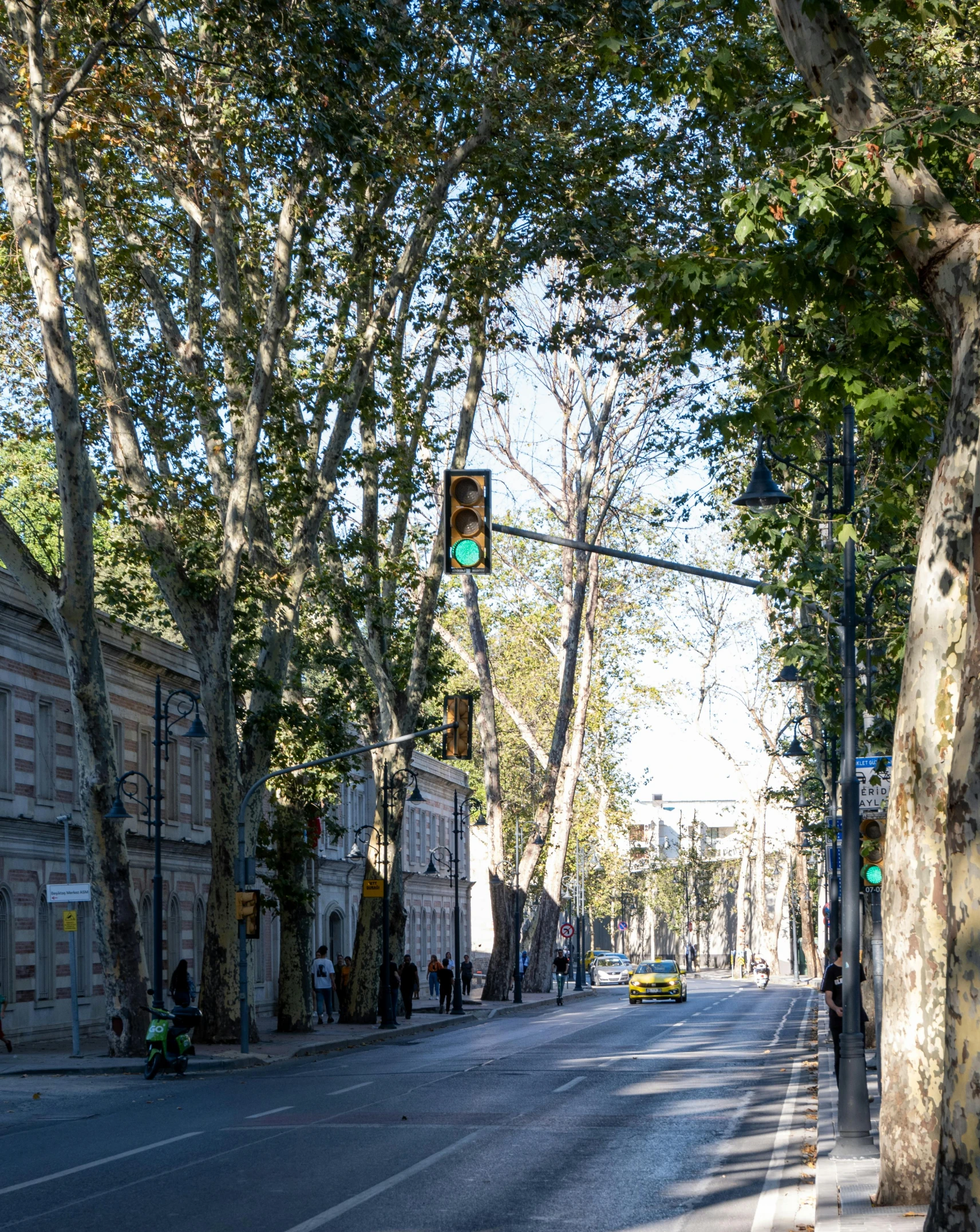 an empty street on a sunny day with parked cars and a green traffic light