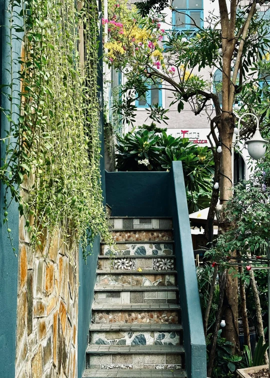 a po taken looking down the stairs and plants