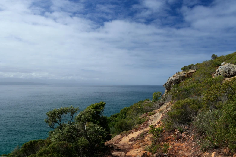 a view looking down at the coast of the ocean