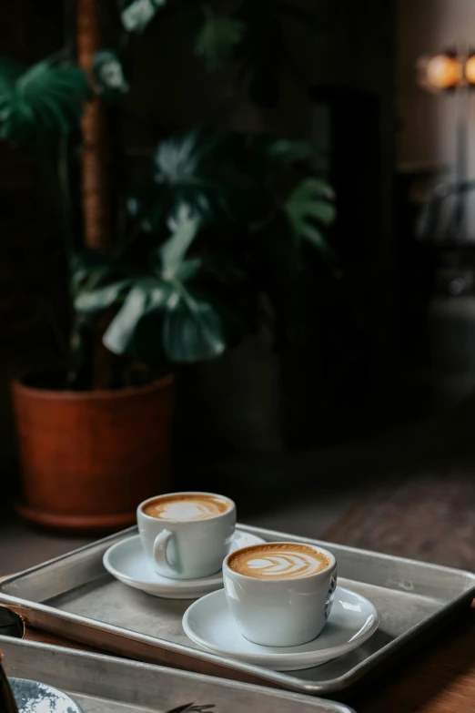 two cups of cappuccino coffee sitting on a tray