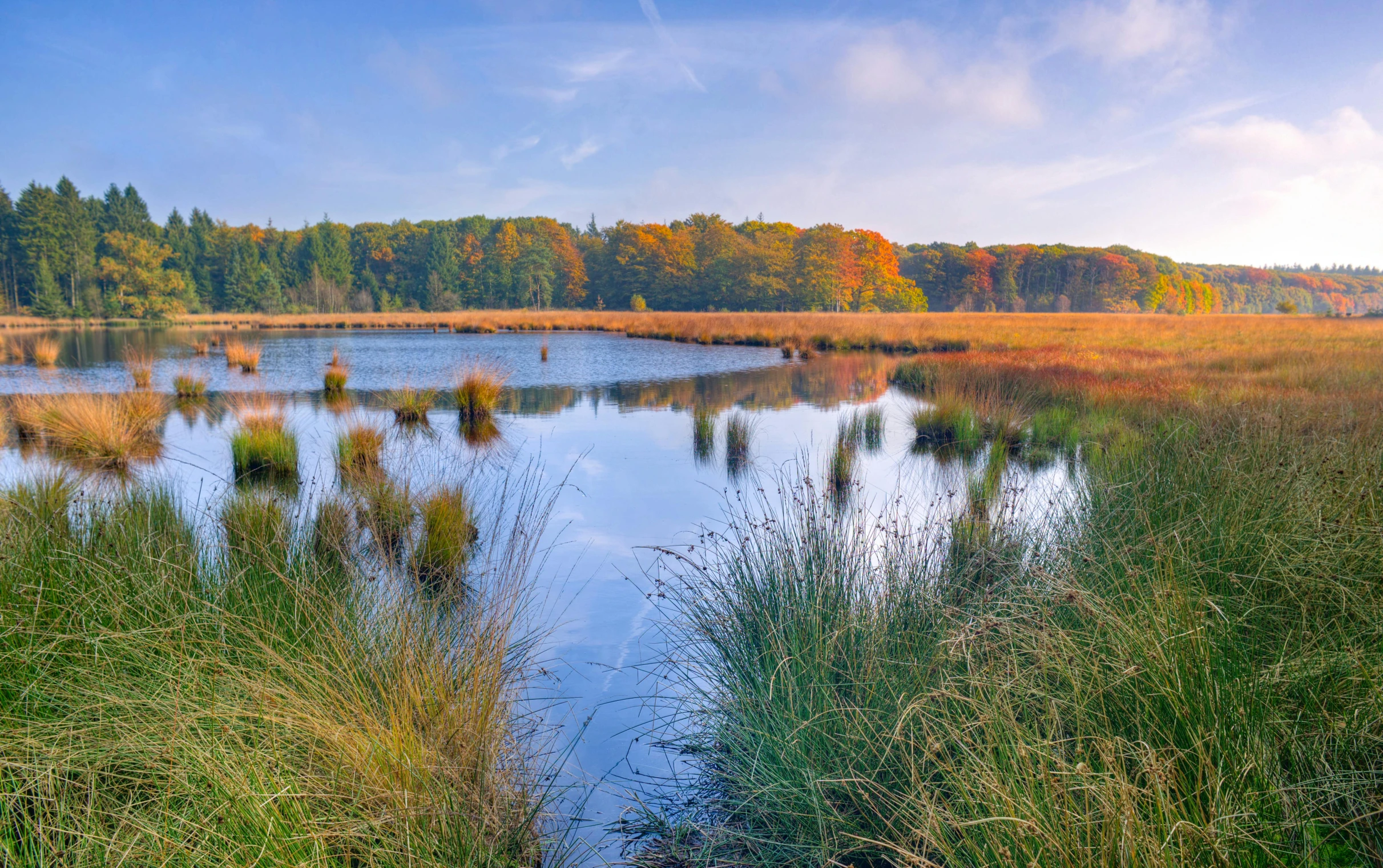 a view of a small marsh that has some water in it